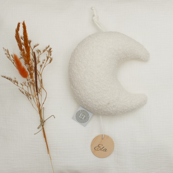 Music box moon, Die wilde 13